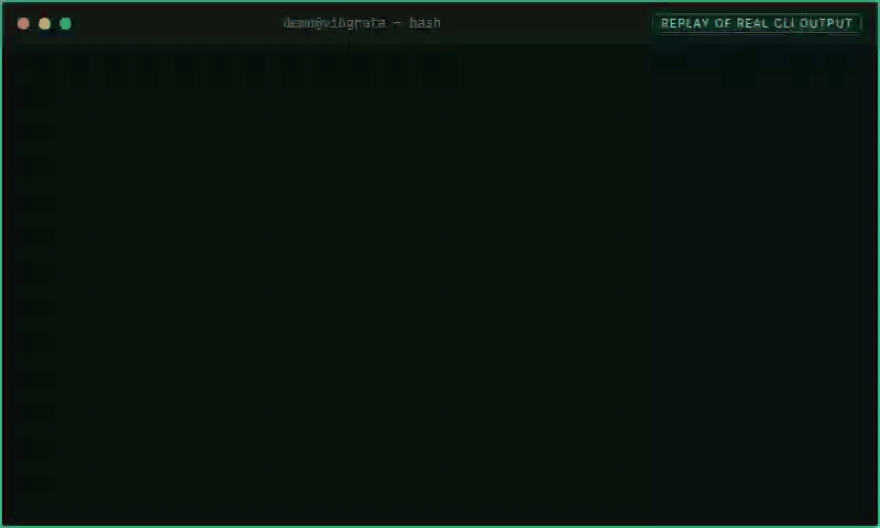 Recorded java-spring/budget replay of the real Vibgrate CLI