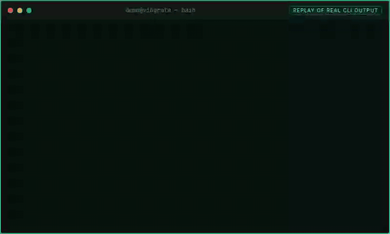 Recorded node-turborepo/serve replay of the real Vibgrate CLI